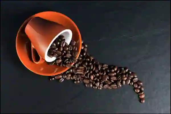커피는 뇌에 어떤 영향을 미칠까요?