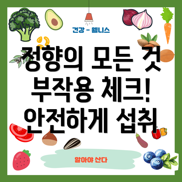 정향 효능