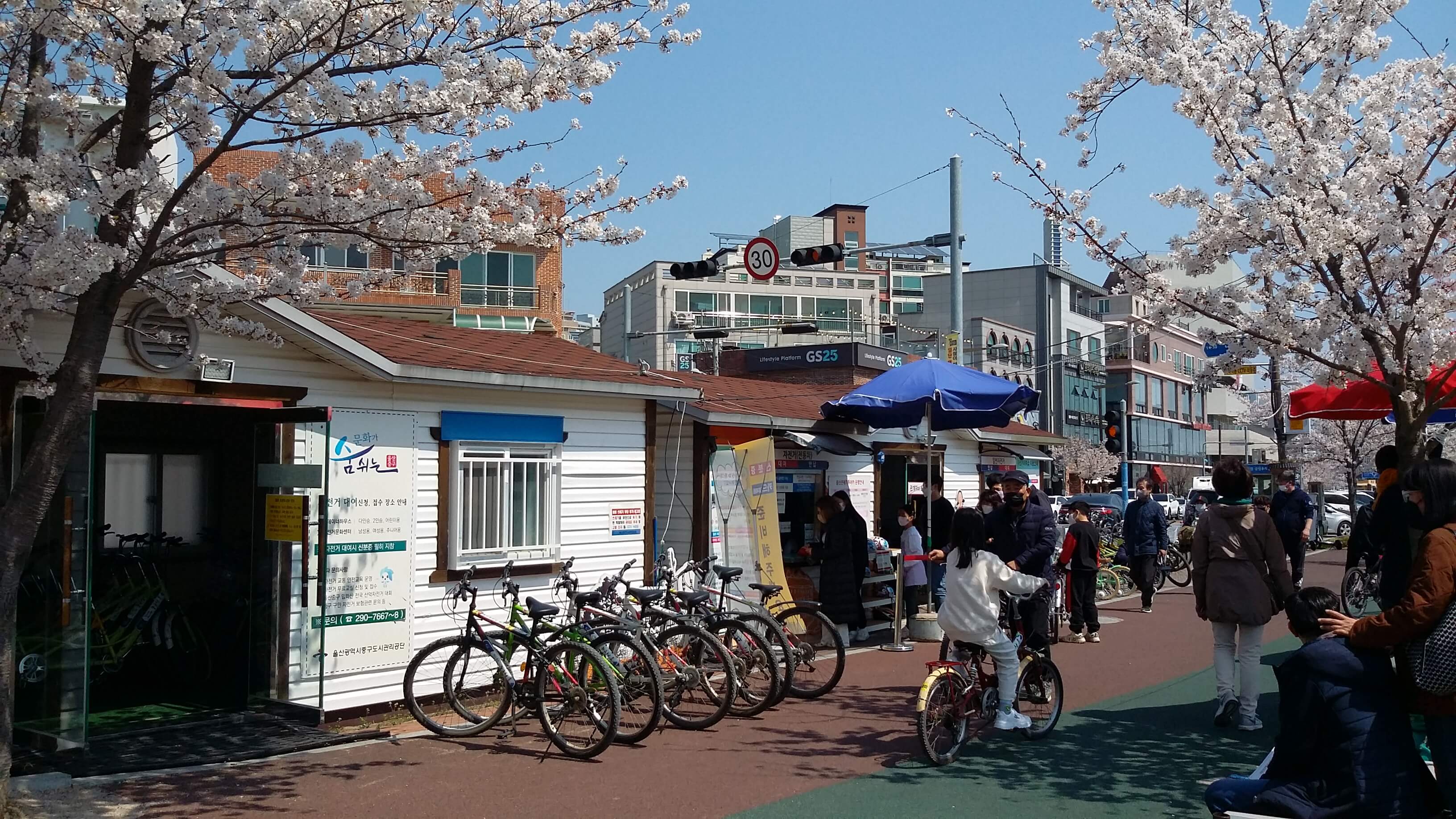 울산국가정원자전거대여