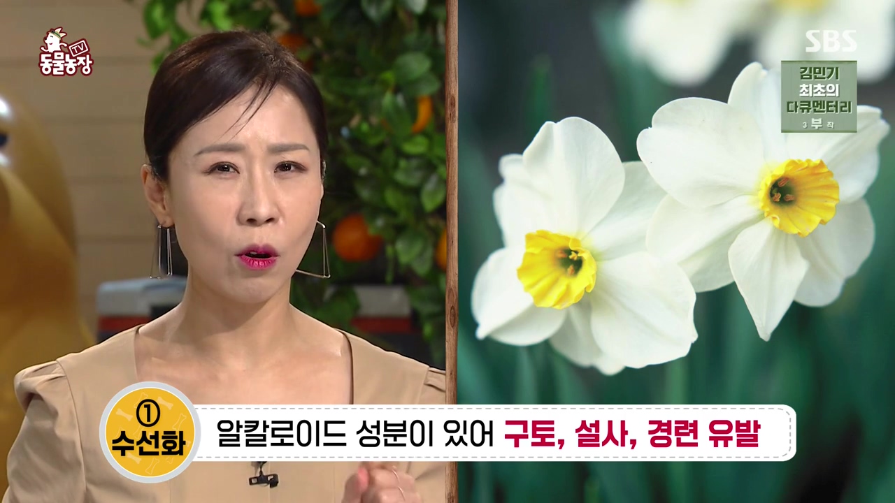 TV 동물농장.E1168.240422p-NEXT.mp4_20240421_163101.475.jpg