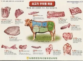 소고기 부위 가장 부드러운 순서대로 10선_2
