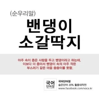 밴댕이 소갈딱지 뜻 사용 방법 용례 예시_21