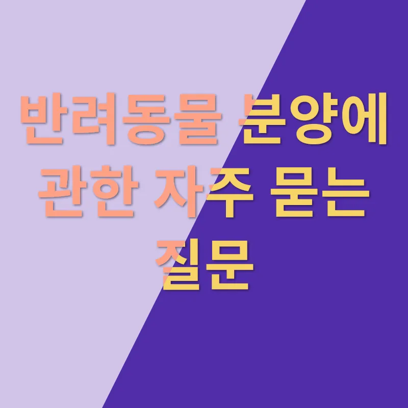 반려동물 분양_4