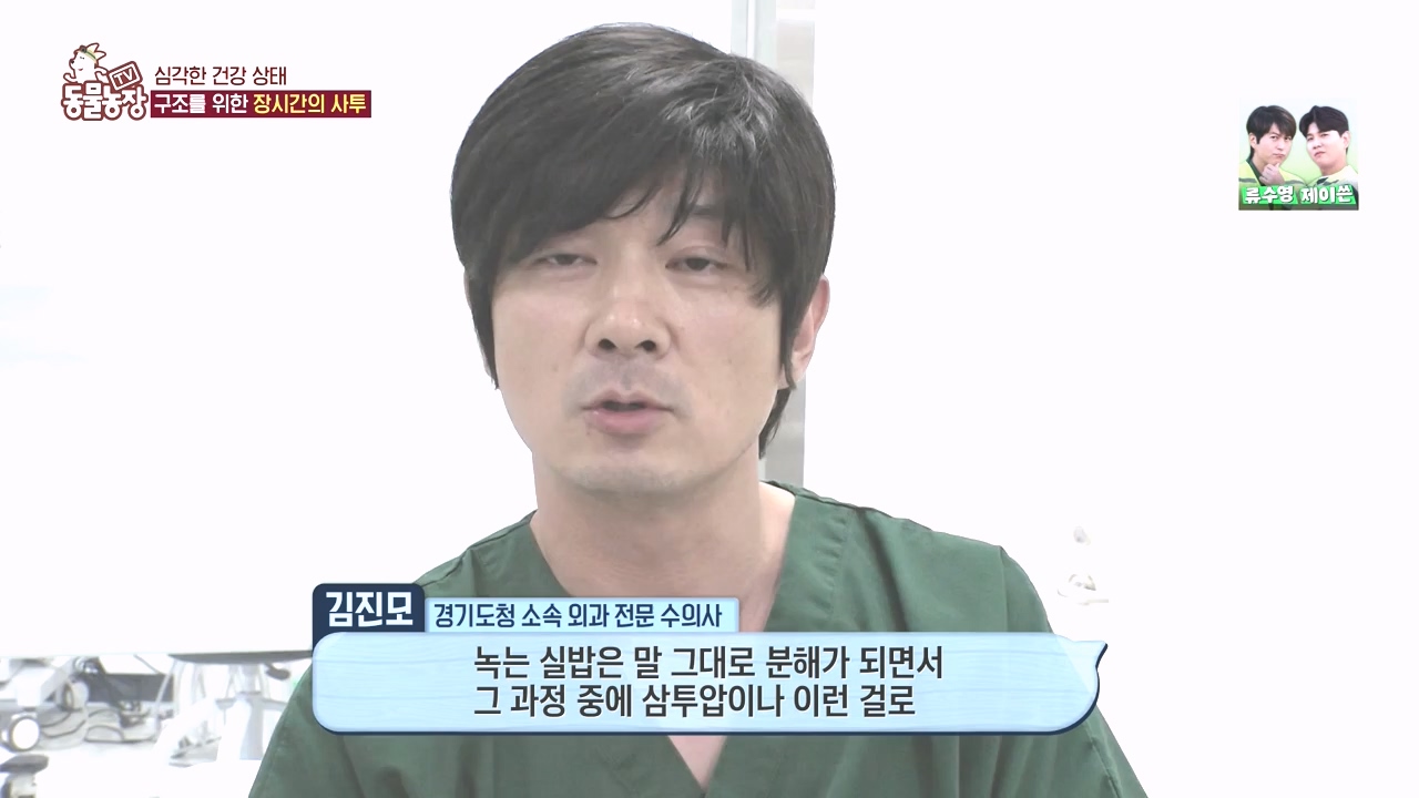 TV 동물농장.E1142.231023p-NEXT.mp4_20231022_174014.138.jpg