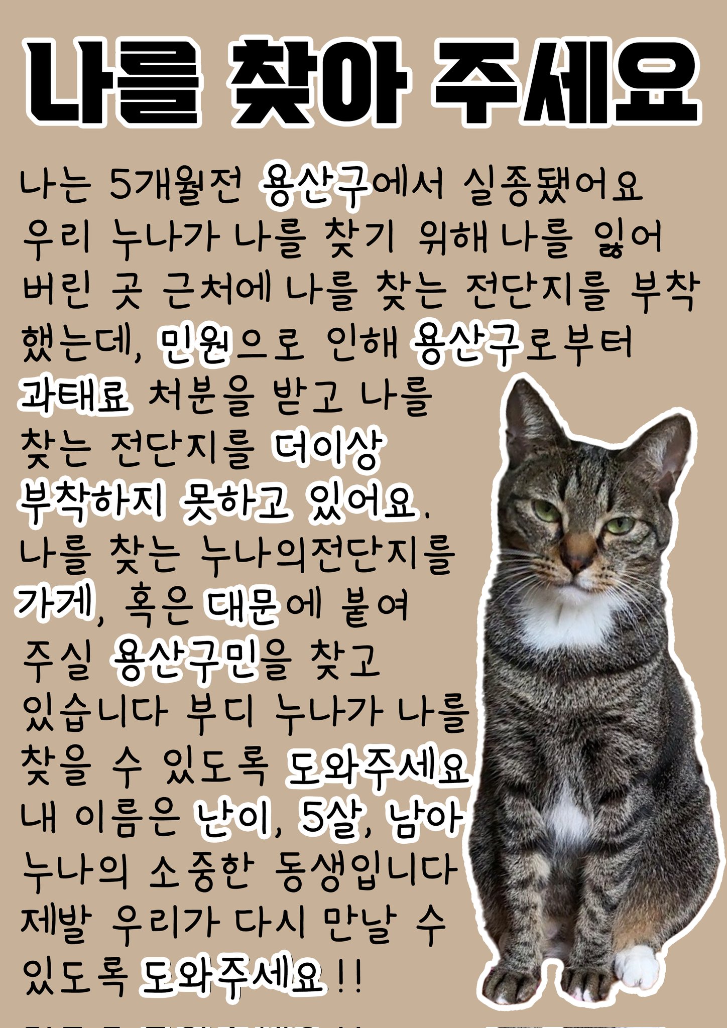 inhye_kim-1826118948997444037-0.jpg