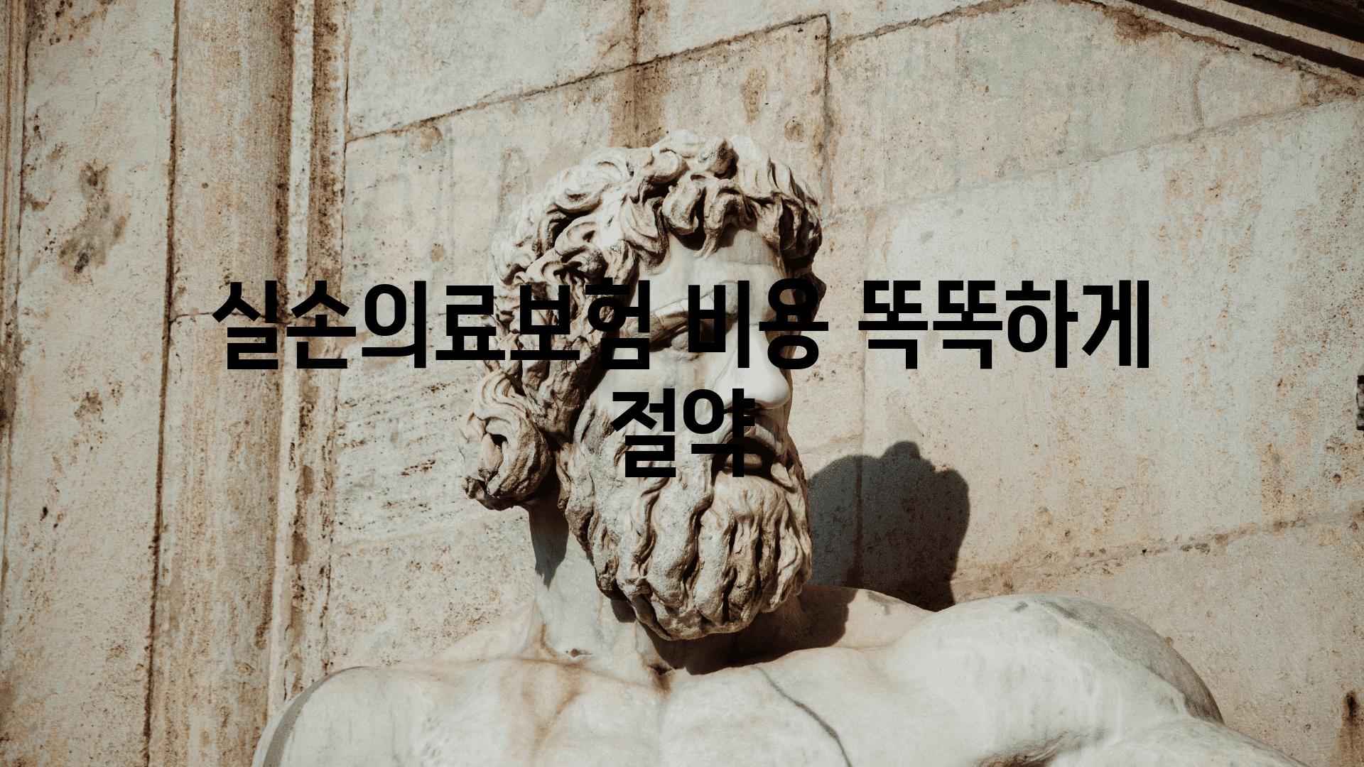 실손의료보험 비용 똑똑하게 절약