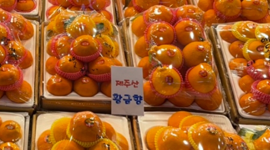 제주농수산 이미지