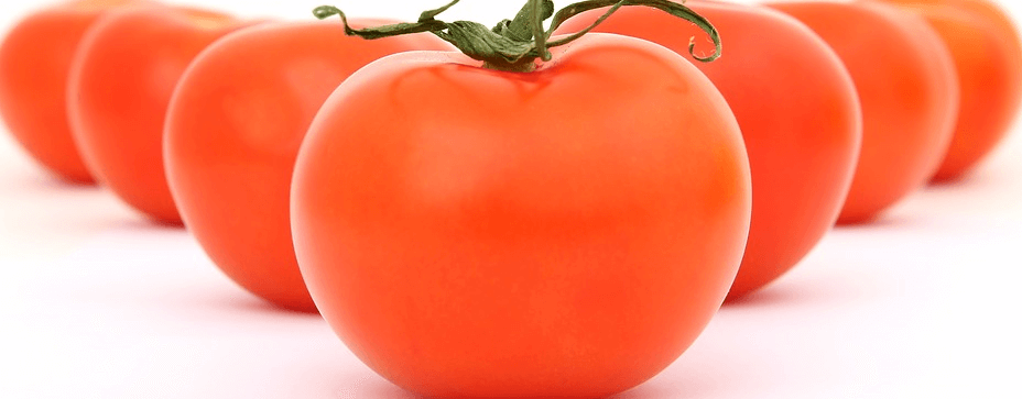  토마토 효능 10가지 확인하기