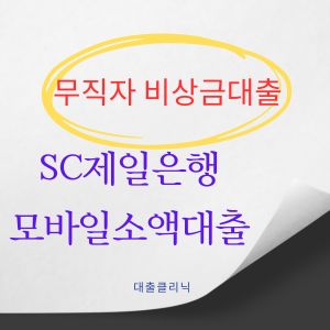 무직자 비상금대출 SC제일은행 모바일소액대출