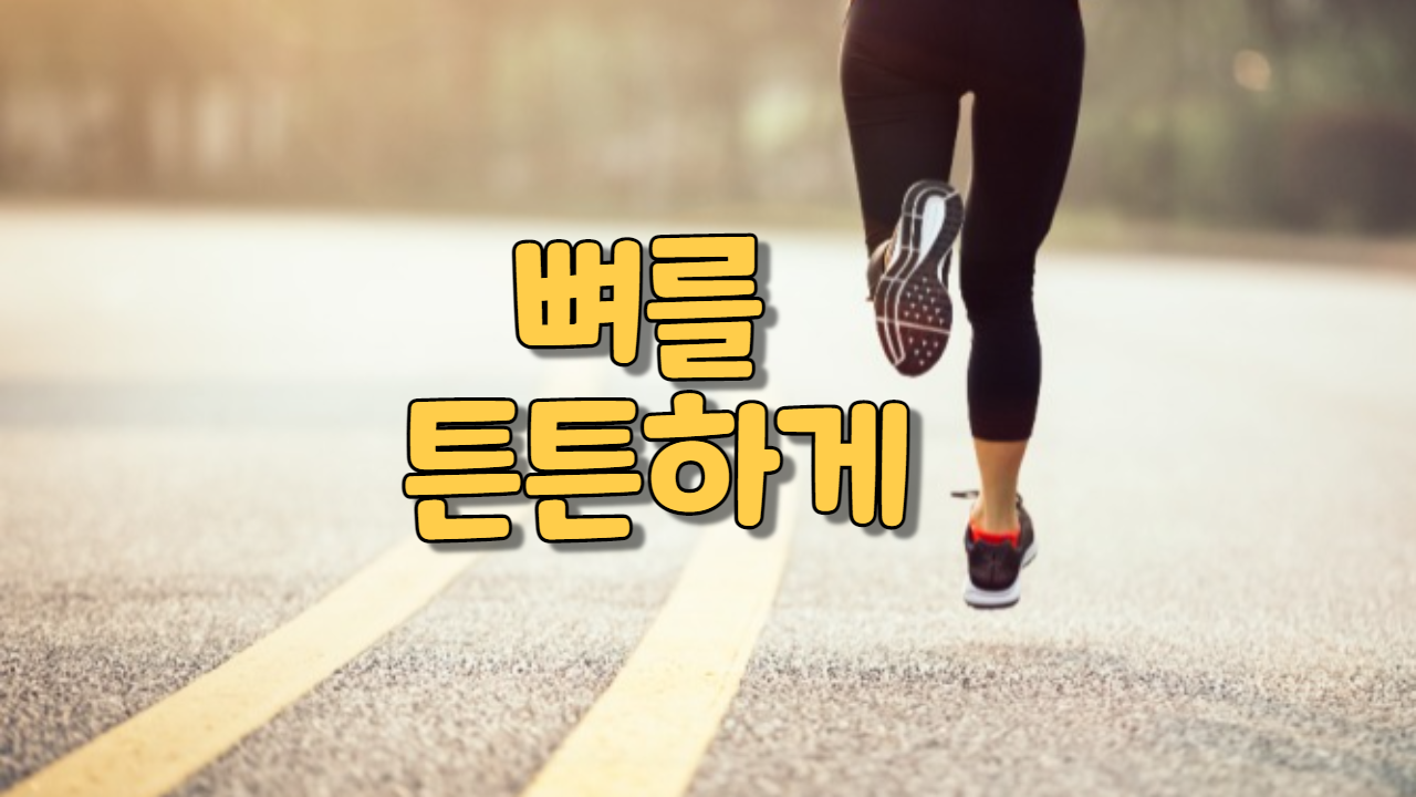  뼈를 튼튼하게