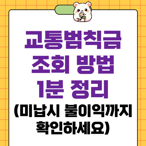 교통범칙금 조회