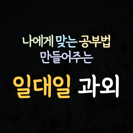  영종하늘도시 영어과외 영종신도시 수학과외 초등 중등 고등 국어과외 과학 중학생 역사 한국사
