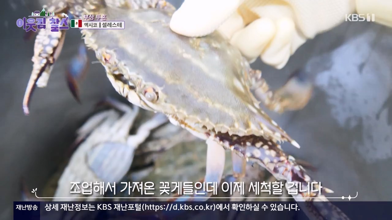 이웃집 찰스.E422.240131p-NEXT.mp4_20240131_194035.750.jpg