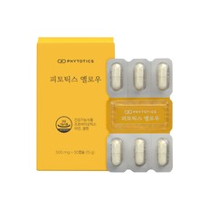  피토틱스 옐로우 30억보장 아연 질 유래 특허유산균, 후기확인 (1765개) & 추천 유산균제품 소개정보..