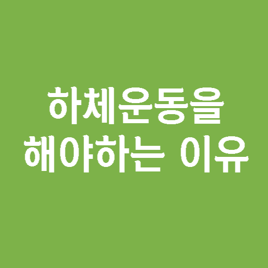  하체 운동을 해야하는 이유