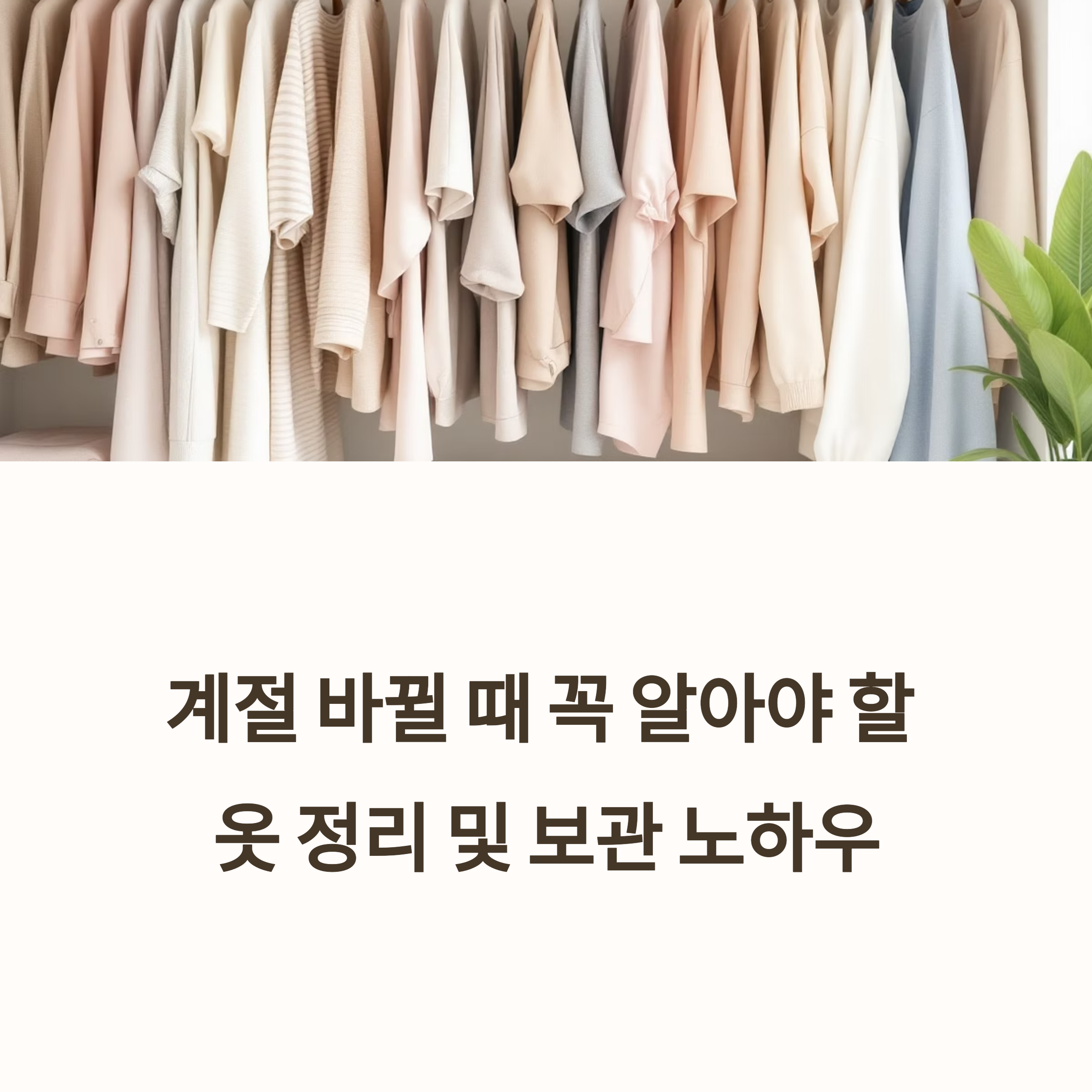 계절 바뀔 때 꼭 알아야 할 옷 정리 및 보관 노하우