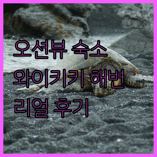 오션뷰에 반하다! 와이키키 해변 숙소