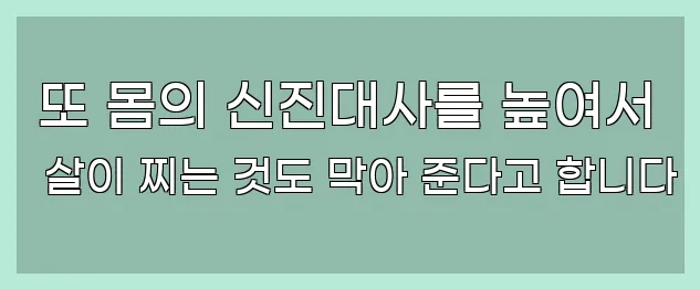  또 몸의 신진대사를 높여서 살이 찌는 것도 막아 준다고 합니다