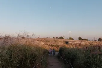 하늘공원 메타세콰이어길 산책 코스_31