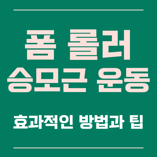  롤러 승모근 운동의 효과적인 방법과 꿀팁 알아보기