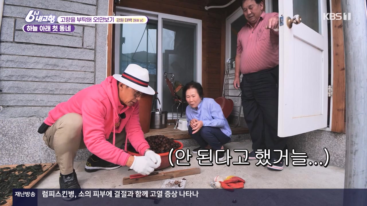 6시 내고향.E7910.231032p-NEXT.mp4_20231101_204615.035.jpg