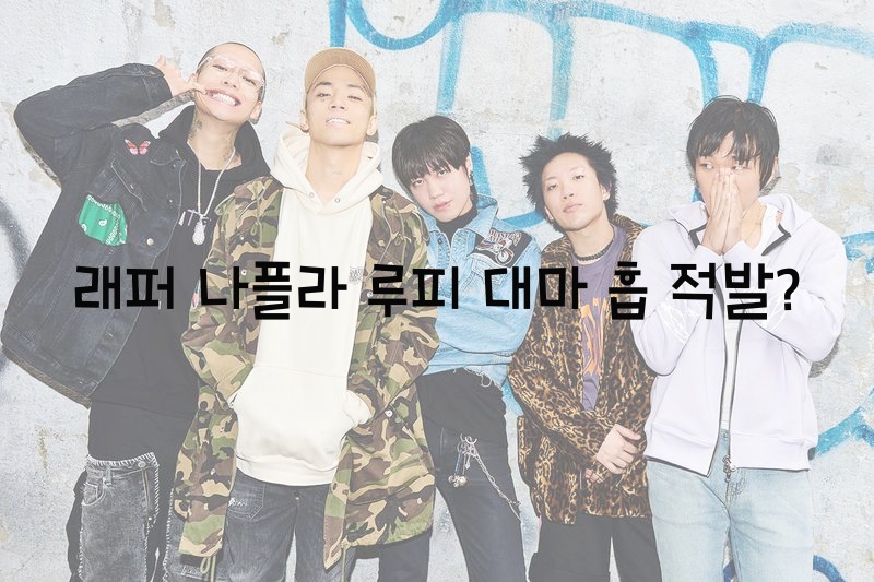  래퍼 나플라 루피 대마 흡입 적발?