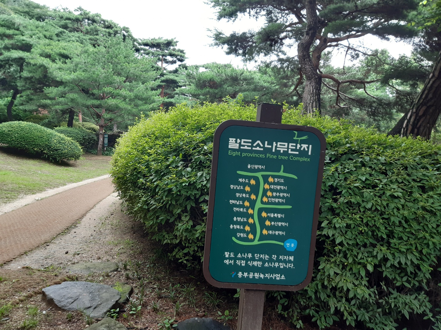  남산둘레길에서 만난 / 남산 팔도소나무단지