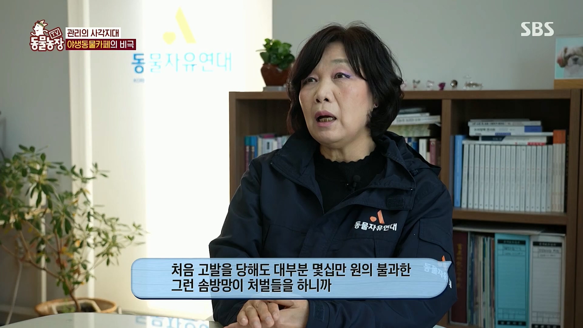 TV 동물농장.E1097.221127p.H264-F1RST.mp4_20221127_181720.932.jpg