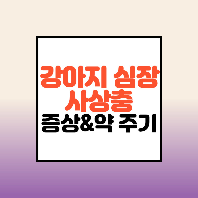  강아지 심장사상충 증상 및 약주기