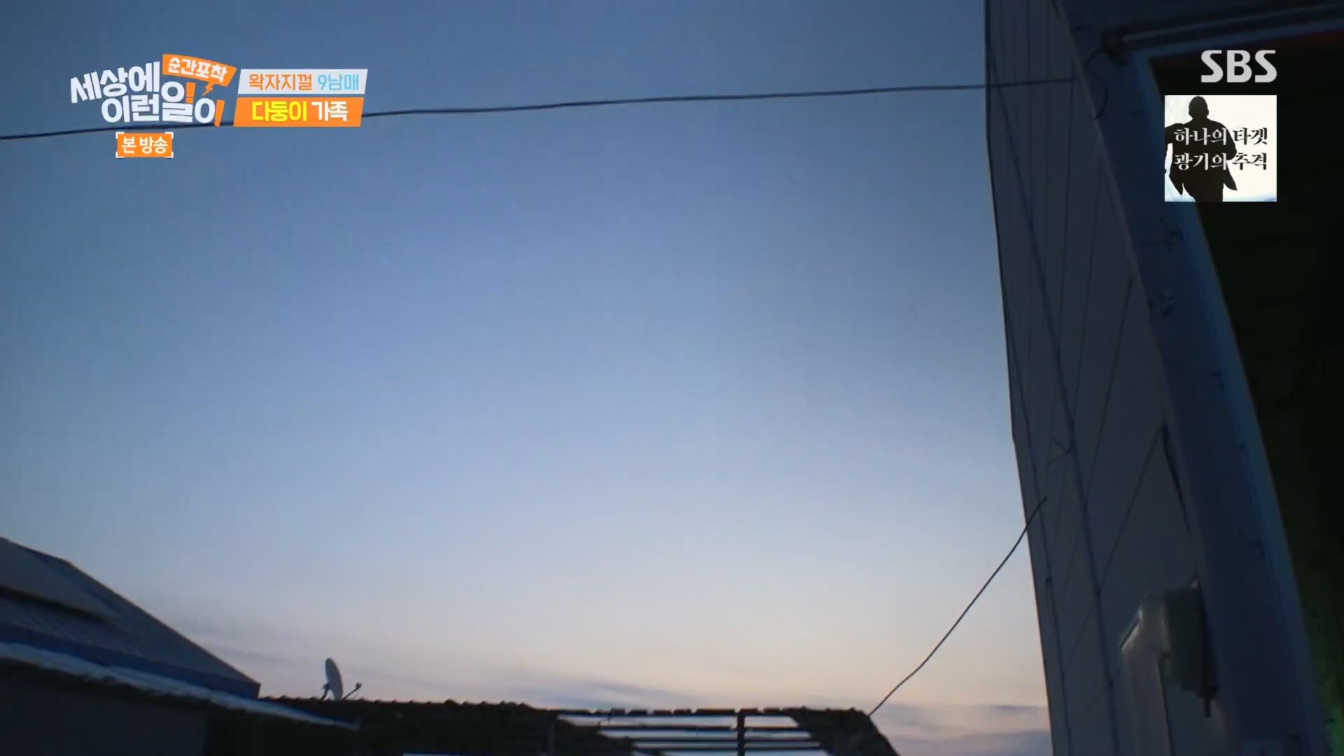 순간포착 세상에 이런일이.E1264.240210p.H264-F1RST.mp4_20240211_190729.869.jpg