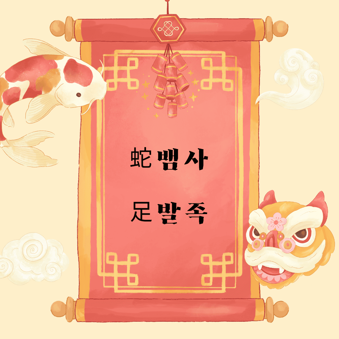 사족(蛇足) 蛇 뱀 사 足 발 족