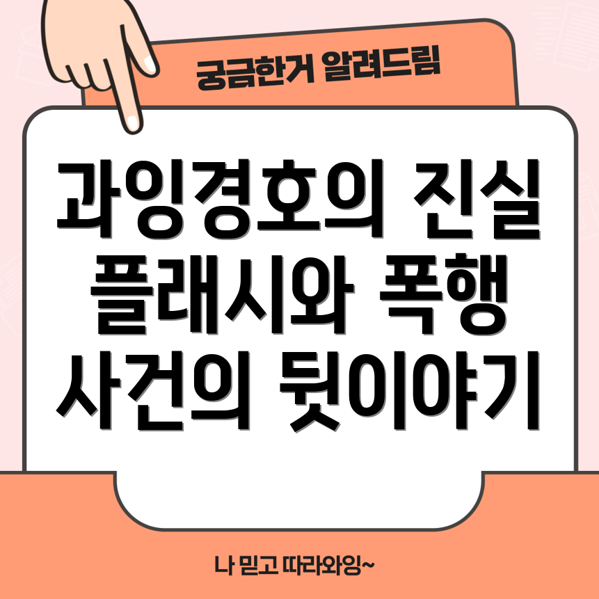 과잉 경호