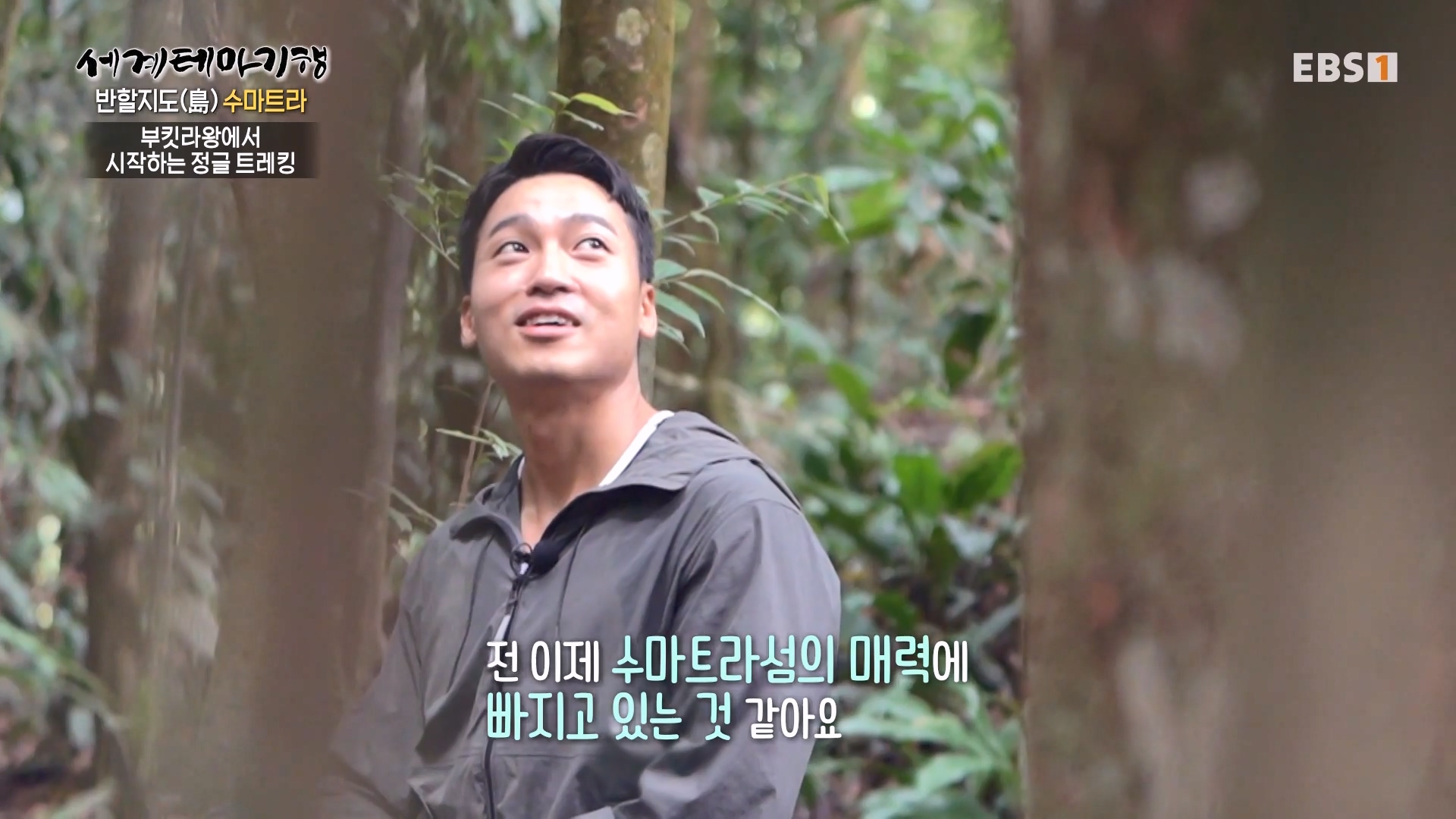 세계테마기행.230731.반할지도(島) 수마트라-1.북수마트라 제대로 즐기기.mp4_20230820_122427.149.jpg
