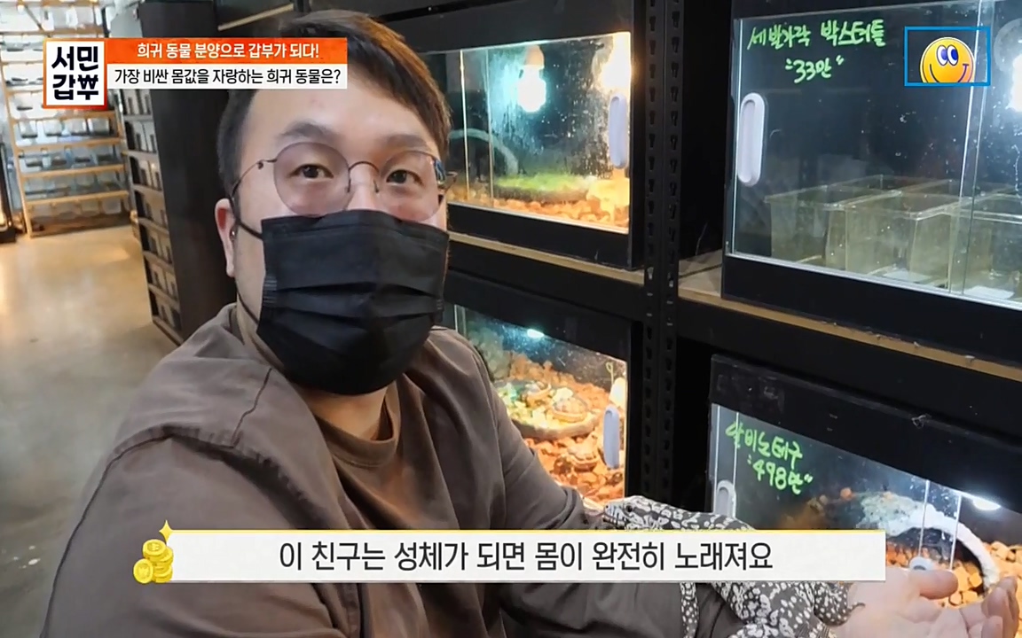 서민 갑부.E381.220431p-NEXT.mp4_20220501_174409.185.jpg