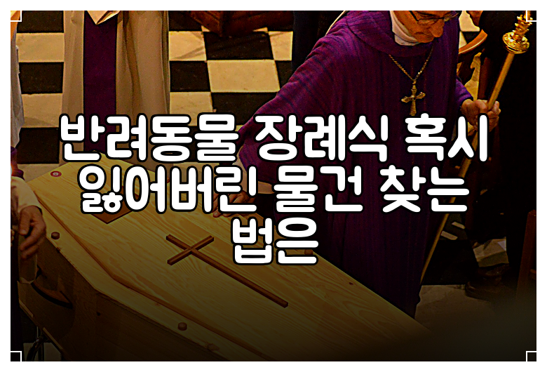 반려동물 장례식 혹시 잃어버린 물건 찾는 법은