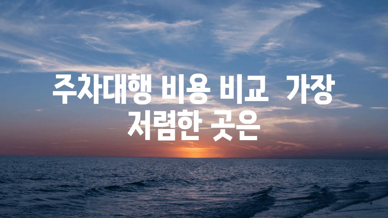 주차대행 비용 비교  가장 저렴한 곳은