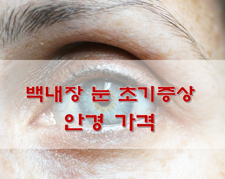  백내장 눈 초기증상 안경 가격