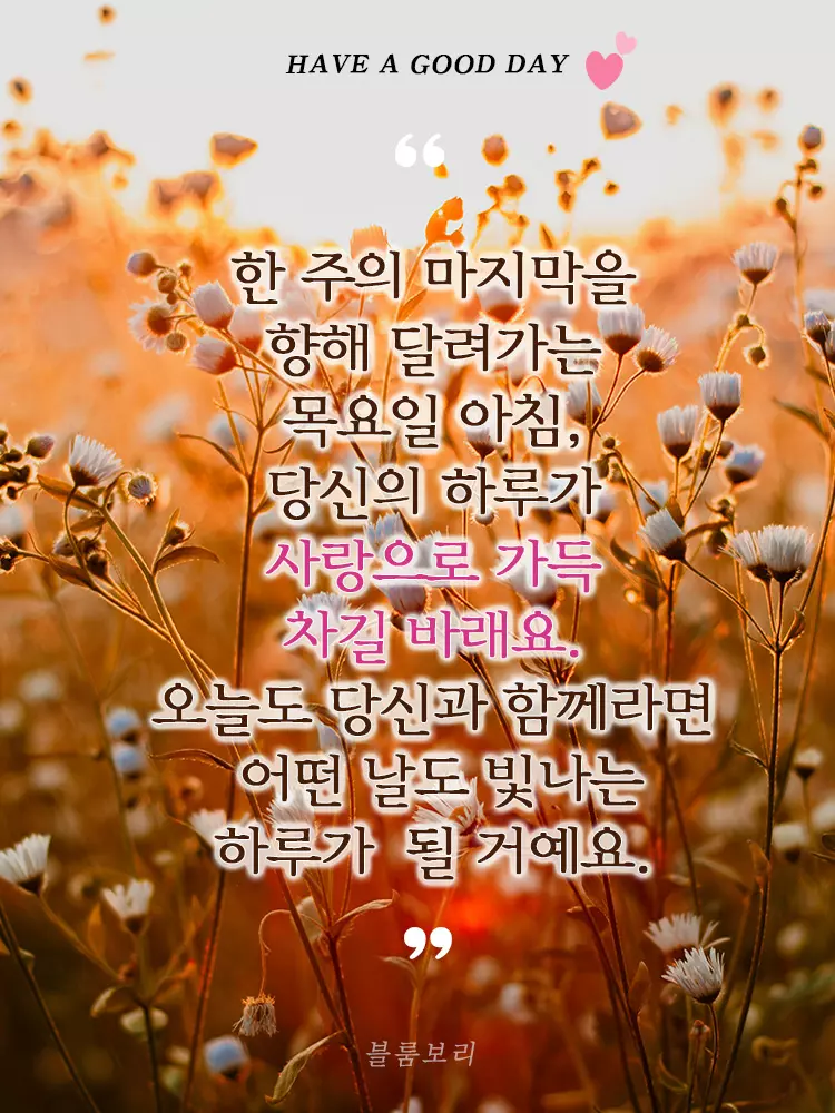 목요일 아침 예쁜 인사말&#44; 인사이미지 모음&#44; 카톡&#44; 문자 인사문구-