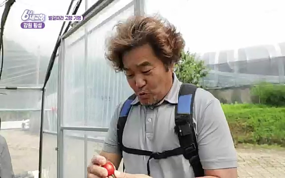 220815_발길따라 고향 기행.ts_20220823_181526.983.jpg