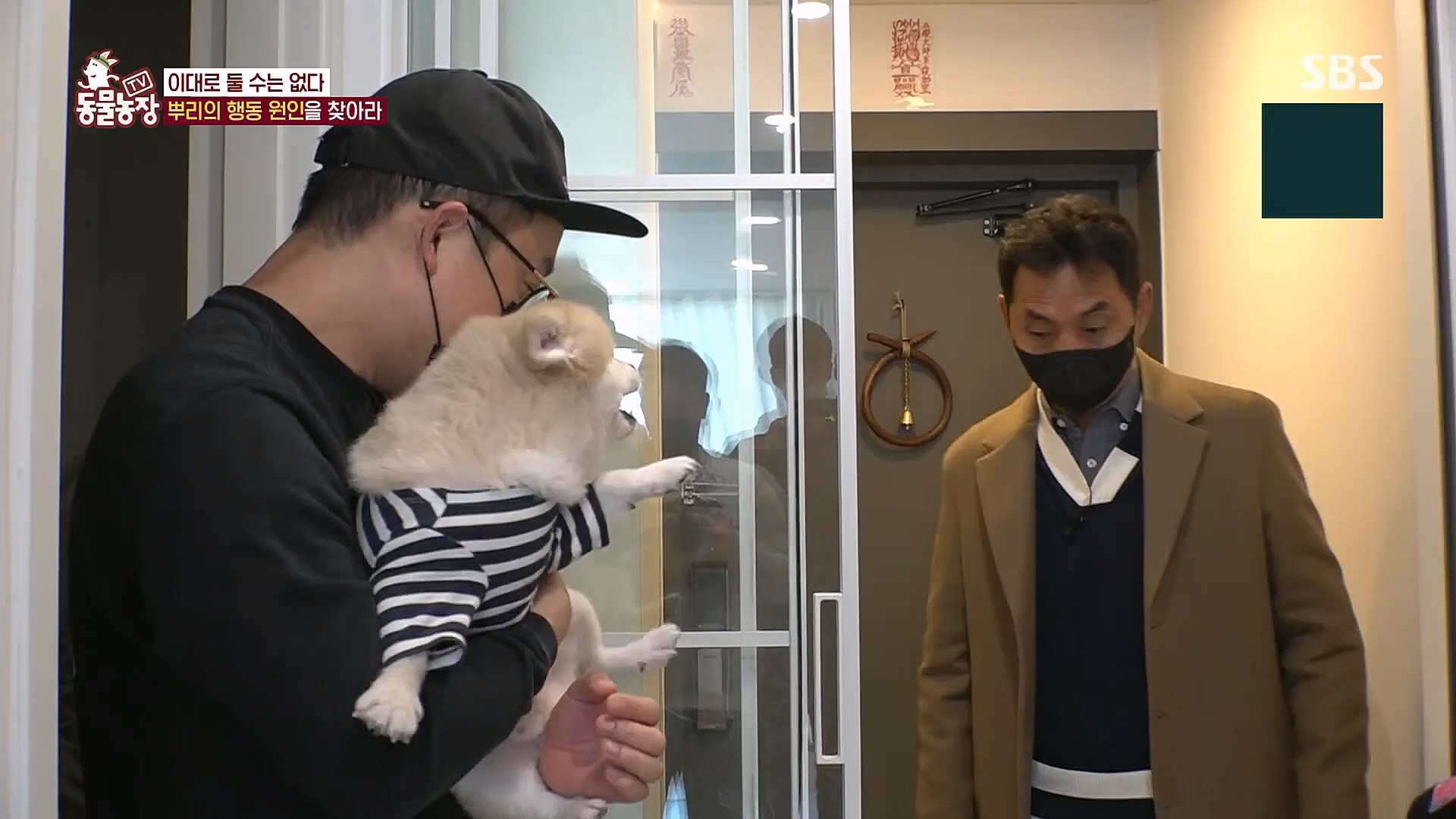 TV 동물농장.E1104.230115p.H264-F1RST.mp4_20230115_173201.992.jpg