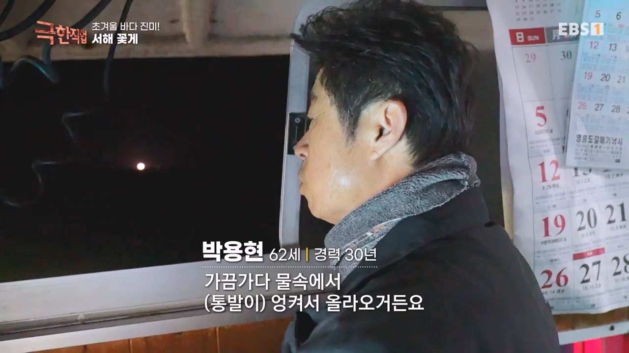 TV - 전 국민의 평생학교 EBS초겨울 바다 진미! 동해 방어, 서해 꽃게.mp4_20231228_204344.850.jpg