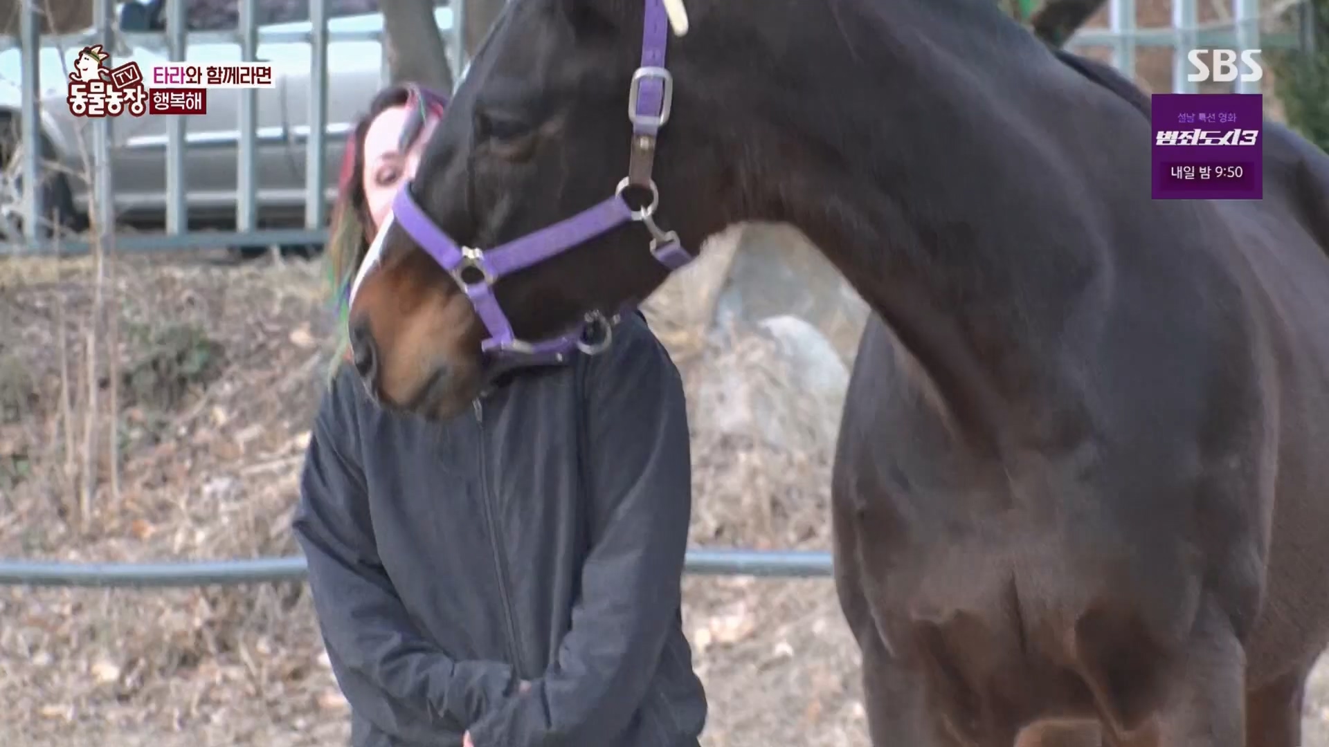 TV 동물농장.E1158.240211p.H264-F1RST.mp4_20240211_194100.538.jpg