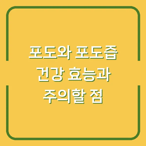 포도와 포도즙 건강 효능과 주의할 점