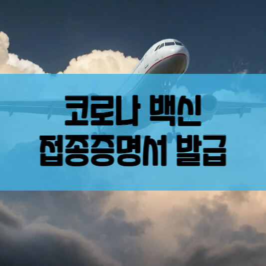  코로나 백신 접종 증명서 발급방법