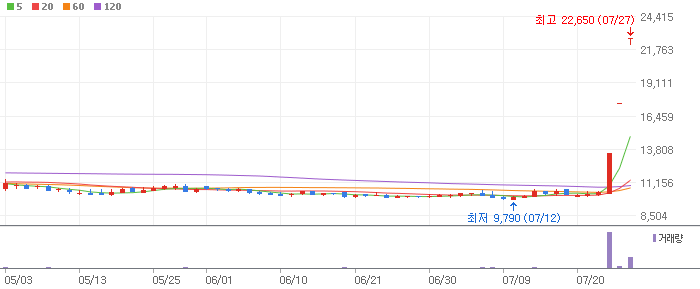  세종메디칼 상한가 간 이유