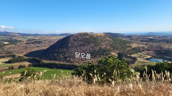 정물 당오름, 오름 그리고 금악오름 16