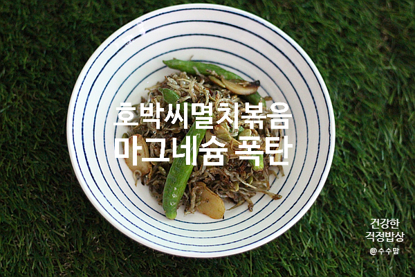 그 효능과 하루권장량 체크 마그네슘 폭탄 호박씨와 멸치 15