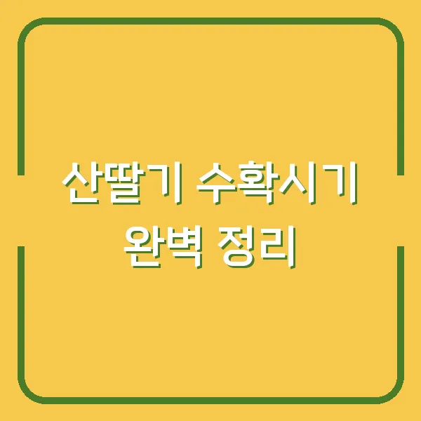 산딸기 수확시기 완벽 정리