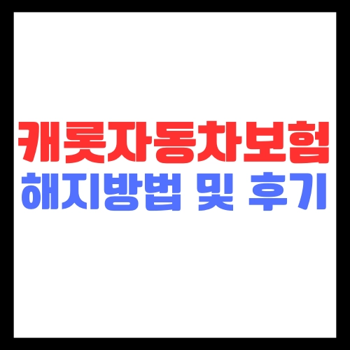 캐롯자동차보험-해지방법-후기-캐롯퍼마일