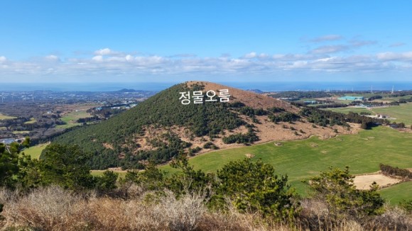 정물 당오름, 오름 그리고 금악오름 43